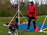 Webcast: Participant Image