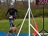 Webcast: Participant Image
