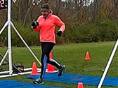 Webcast: Participant Image