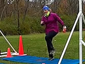 Webcast: Participant Image
