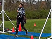 Webcast: Participant Image