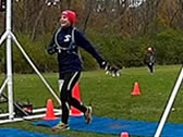 Webcast: Participant Image